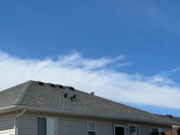Best Sheet Metal Roofing  in San Joaquin, CA
